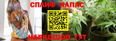 прущие грибы Иваново