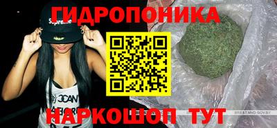 прущие грибы Иваново