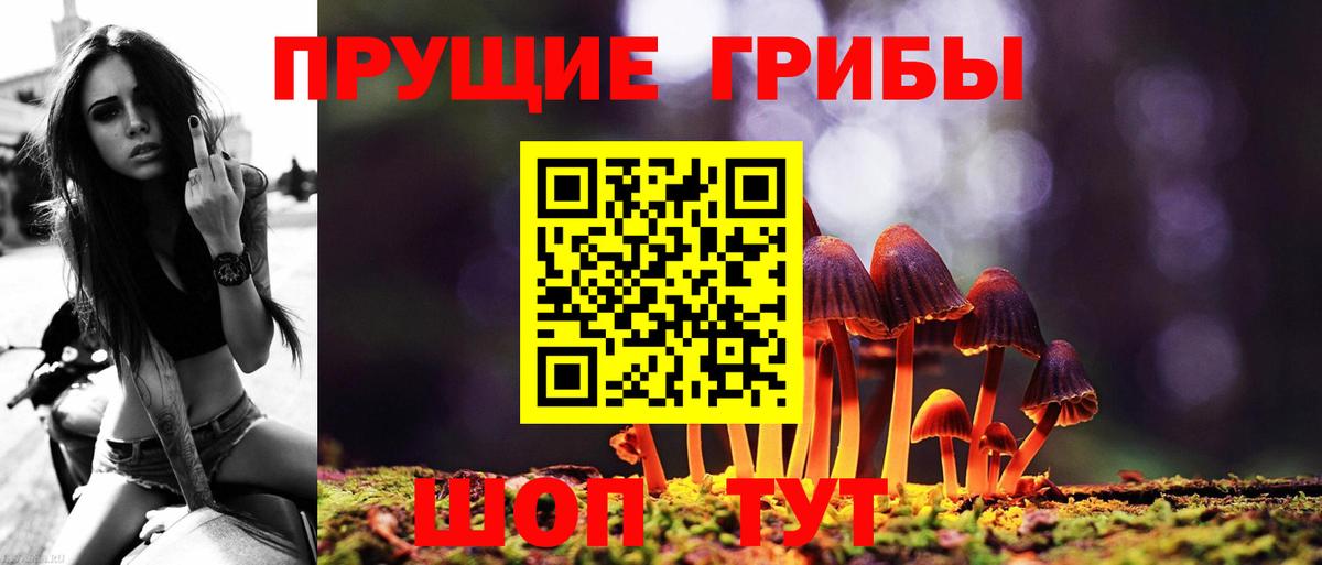 Ачхой-Мартан  Псилоцибиновые грибы мицелий  Вход с VPN 