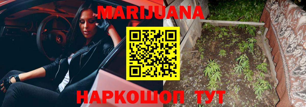 Конопля марихуана  Бошки марихуана семена  Каннабис план  Вход с VPN  Ачхой-Мартан  Бошки Шишки планчик 